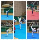 리더스태권도 이미지