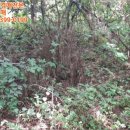 함안등기소 이미지