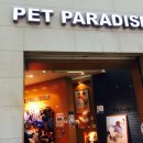 펫 파라다이스(pet paradise) 이미지