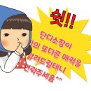 도우공인중개사사무소 이미지