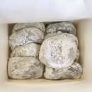 정라진찹쌀떡 - 삼척시 | 생활의달인 찹쌀떡 달인 정라진수제찹쌀떡 솔직 후기