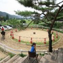 연천승마공원 이미지