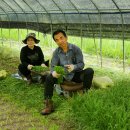 이종대 농장 이미지