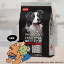 동전집 하단점 | 코엔자임Q10 라지브리드 에이징5 플러스ㅣ중형견 노화방지와 인지력케어를 위한 맞춤중형견사료 후기