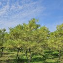 성원농장2 이미지