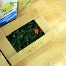 노벨생태어린이집 이미지