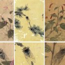 박성호「버드나무를 | 조선회화로 확인한 우리나라 매미 생태