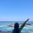 W728 house 이미지