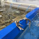 청원과일마트 이미지