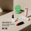 보브코스메틱 | 다이소 보브 립스틱 더스트피치 내돈내산 발색 솔직후기 봄웜 가을웜 코랄립스틱