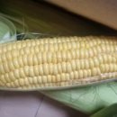 범이농장 이미지