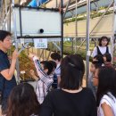 인삼박물관 이미지