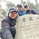 제357차 飛鳳山(231m).尙州湺 3.11(月) 定期山行 이미지