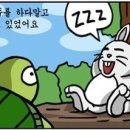 토끼와거북이 Daum카페