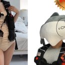 피닉스물류 이미지