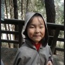 조하유치원 이미지