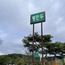 네덜란드꿩만두