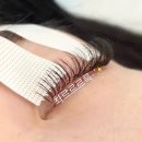 에스더의눈썹 | 속눈썹연장 티 나는 게 싫다면? 자연스러운 디자인 추천 <일산속눈썹 전문샵 에스더속눈썹>