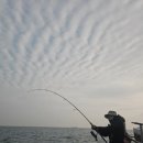 나사블루윙피싱 이미지