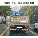 활어가