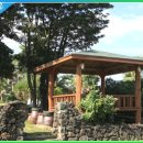 제주 야자원 이미지