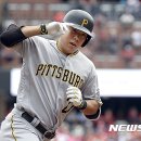 강정호 카카오 검색결과