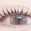 감삼동346 이미지