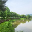 장자호수공원 이미지