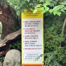 계곡산장 | 우이동 계곡 미림산장 닭백숙 후기 | 계곡 물놀이를 기대한다면 비추천