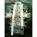 2007-주018 이미지