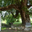 가곡마을 입구 이미지