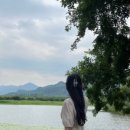 백학민박 이미지