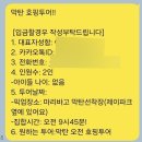세부 여행 호핑투어 존투어 내돈내산
