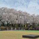 판암근린공원 이미지