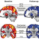 계절따라 이미지