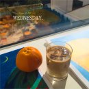 제주라이프 이미지