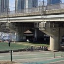 양천세천 이미지