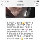 카페느루 이미지