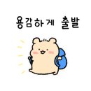 아람헤어 이미지