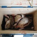 숲속바다펜션민박 이미지