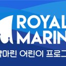 로얄마린 민락점 이미지