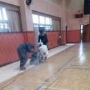 도이초등학교 이미지