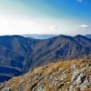 남해-310 이미지