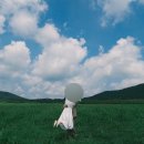 [w23] 제주야외스냅 올리버필름/1시간 1장소 후기(24년 8월 촬영)