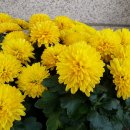 사철축산 이미지