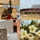 남천1-202 | 부산 남천역 가볼만한곳 도모헌 방문 가이드 : 2월 여행 추천