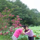 지리산친구들 이미지