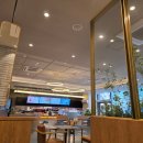 용인대 이레 태권도 이미지