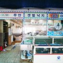 탄도만낙지
