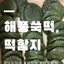 대치2-104 | 해풍쑥떡 ㅣ 당일생산·당일발송으로 받은 쫀득함, 솔직 후기